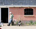 Lammetjes knuffelen op de markt